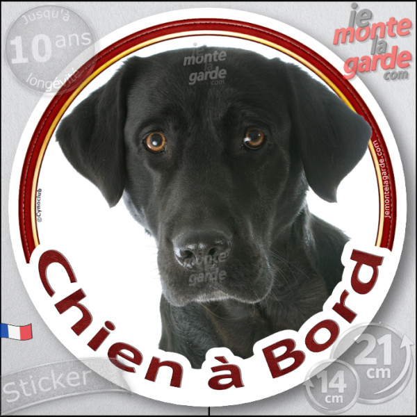 Labrador noir Tête, sticker autocollant rond "Chien à Bord" Disque photo adhésif vitre voiture, résiste pluie soleil gel, idée c