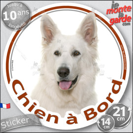 Berger Blanc Suisse, sticker rond "Chien à Bord" Disque photo autocollant vitre voiture, résiste pluie soleil gel, idée cadeau