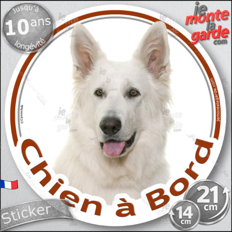Berger Blanc Suisse, sticker rond "Chien à Bord" Disque photo autocollant vitre voiture, résiste pluie soleil gel, idée cadeau