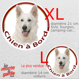 Berger Blanc Suisse, sticker voiture rond photo "Chien à Bord" résiste pluie soleil gel, idée cadeau, 2 Tailles D