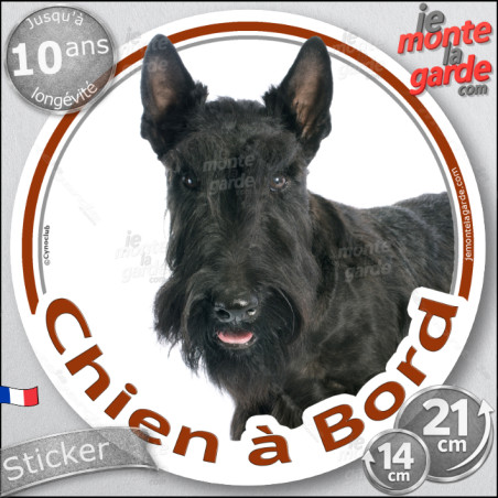 Scottish Terrier noir, sticker autocollant rond "Chien à Bord" Disque adhésif vitre voiture photo, résiste pluie soleil gel, idé
