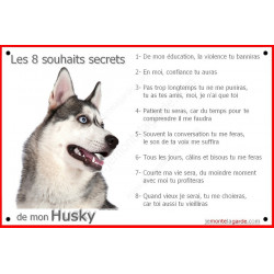 Plaque 24 cm CDT, 8 Souhaits Secrets, Husky Gris Tête
