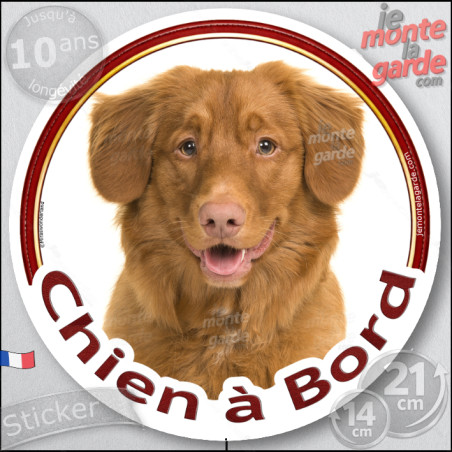 Nova Scotia Retriever, sticker voiture rond photo "Chien à Bord" résiste pluie soleil gel, idée cadeau, 2 Tailles D