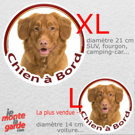 Nova Scotia Retriever, sticker voiture rond photo "Chien à Bord" résiste pluie soleil gel, idée cadeau, 2 Tailles D
