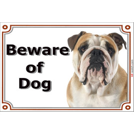 Fawn & White English Bulldog, portal Sign "Beware of Dog" Door Plate red British, portal placard photo notice