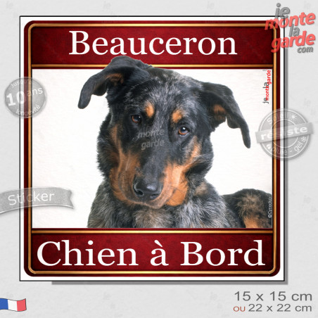 Beauceron arlequin Tête, sticker carré "Chien à Bord" autocollant photo auto, Berger de Beauce bleu merle adhésif vitre voiture 