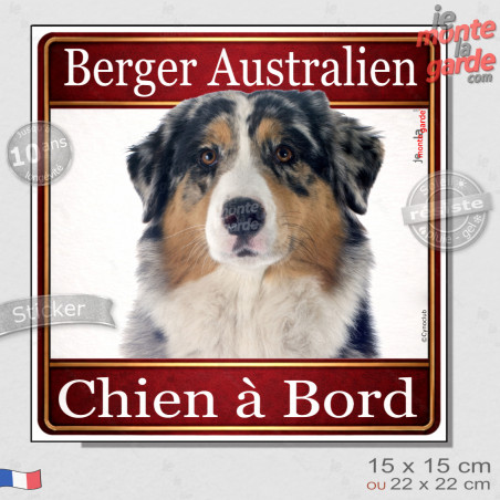 Berger Australien bleu merle Tête, sticker carré "Chien à Bord" autocollant photo auto, adhésif vitre voiture jaune orange, rési