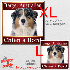 Berger Australien bleu merle, sticker voiture photo carré "Chien à Bord" résiste pluie soleil gel, idée cadeau, 2 Tailles D