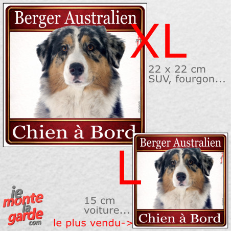 Berger Australien bleu merle, sticker voiture photo carré "Chien à Bord" résiste pluie soleil gel, idée cadeau, 2 Tailles D