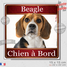 Beagle tricolore Tête, sticker carré "Chien à Bord" autocollant photo auto, adhésif vitre voiture jaune orange, résiste pluie so