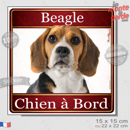 Beagle tricolore, sticker voiture photo carré "Chien à Bord" résiste pluie soleil gel, idée cadeau, 2 Tailles D