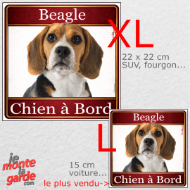 Beagle tricolore, sticker voiture photo carré "Chien à Bord" résiste pluie soleil gel, idée cadeau, 2 Tailles D