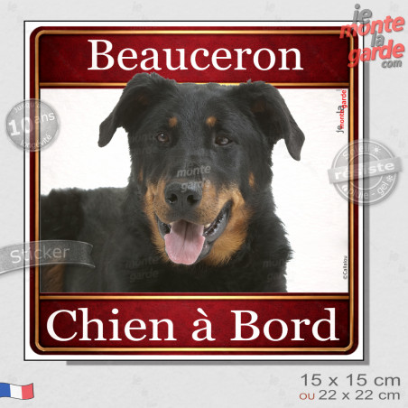 Beauceron noir et feu Tête, sticker carré "Chien à Bord" autocollant photo auto, Berger de Beauce noir et feu adhésif vitre