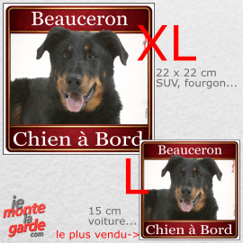 Beauceron noir et feu, sticker voiture photo carré "Chien à Bord" résiste dehors, 2 Tailles D