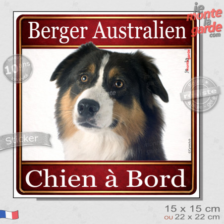 Berger Australien tricolore noir Tête, sticker carré "Chien à Bord" autocollant photo auto, adhésif vitre voiture jaune orange, 