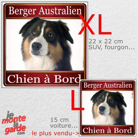 Berger Australien tricolore noir, sticker voiture photo carré "Chien à Bord" résiste pluie soleil gel, idée cadeau, 2 Tailles D