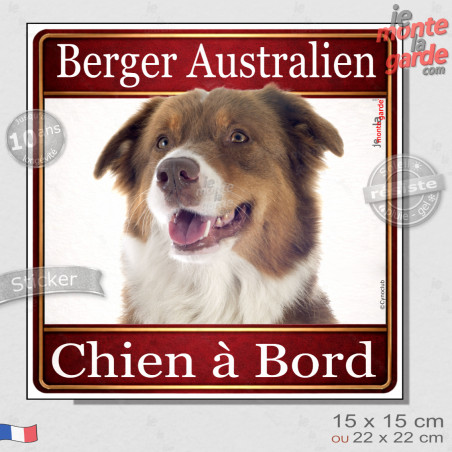 Berger Australien tricolore rouge Tête, sticker carré "Chien à Bord" autocollant photo auto, adhésif vitre voiture jaune orange,