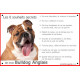 Bulldog Anglais Tête, pancarte Portail panneau commandements éducation
