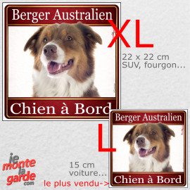 Berger Australien tricolore rouge, sticker voiture photo carré "Chien à Bord" résiste pluie soleil gel, idée cadeau, 2 Tailles D