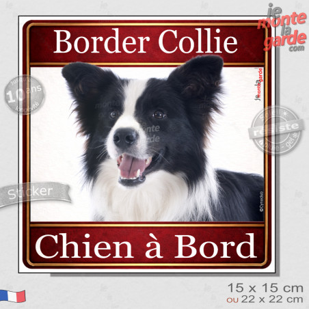 Border Collie noir et blanc à poils longs Tête, sticker carré "Chien à Bord" autocollant photo auto, adhésif vitre voiture jaune