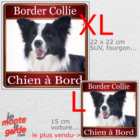 Border Collie, sticker voiture photo carré "Chien à Bord" résiste pluie soleil gel, idée cadeau, 2 Tailles D