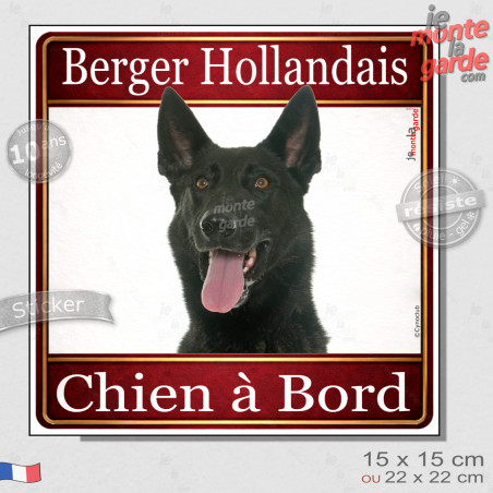 Berger Hollandais poils courts Tête, sticker carré "Chien à Bord" autocollant photo auto, adhésif vitre voiture jaune orange, ré