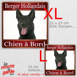 Berger Hollandais, sticker voiture photo carré "Chien à Bord" résiste pluie soleil gel, idée cadeau, 2 Tailles D