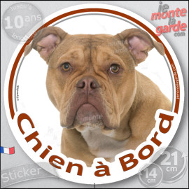 Old English Bulldog ancien type, sticker autocollant photo rond "Chien à Bord" Disque photo adhésif vitre voiture, résiste pluie