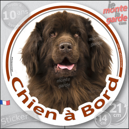 Terre Neuve marron, sticker voiture photo rond "Chien à Bord" résiste pluie soleil gel, idée cadeau, 2 Tailles D