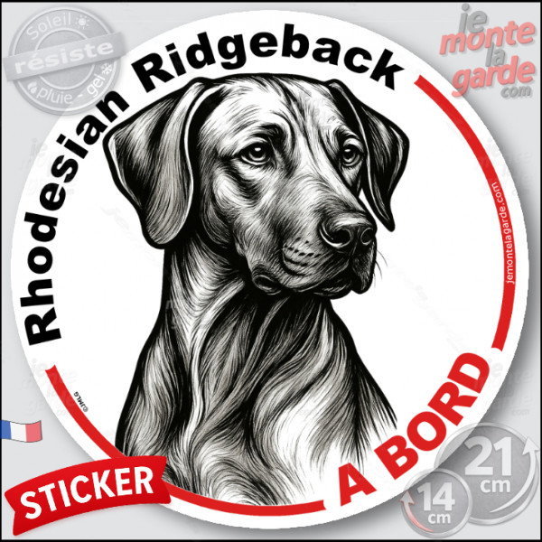 Rhodesian Ridgeback, sticker autocollant rond "Chien à Bord" disque adhésif vitre voiture photo, résiste pluie soleil gel, idée 