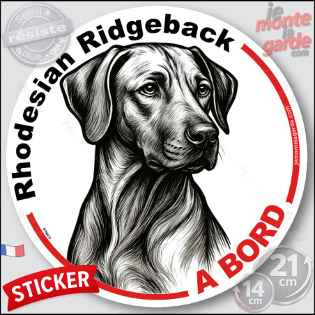 Rhodesian Ridgeback, sticker autocollant rond "Chien à Bord" disque adhésif vitre voiture photo, résiste pluie soleil gel, idée