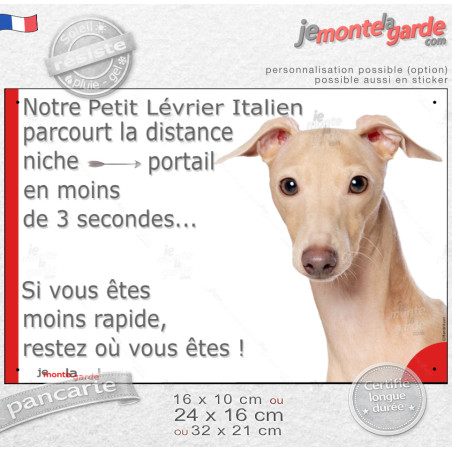 Petit Lévrier Italien Isabelle, plaque humour "parcourt la distance Niche-Portail en moins de 3 secondes, rapide" photo Levrette