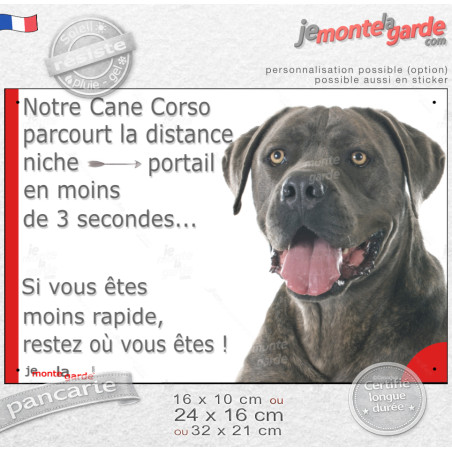 Cane Corso Italiano gris bleu, plaque humour "parcourt la distance Niche-Portail en moins de 3 secondes" photo, résiste pluie so