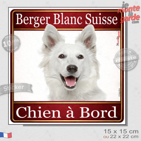 Berger Blanc Suisse Tête, sticker carré "Chien à Bord" autocollant photo auto, adhésif vitre voiture jaune orange, résiste pluie