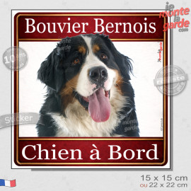 Bouvier Bernois Tête, sticker carré "Chien à Bord" autocollant photo auto, adhésif vitre voiture jaune orange, résiste pluie sol