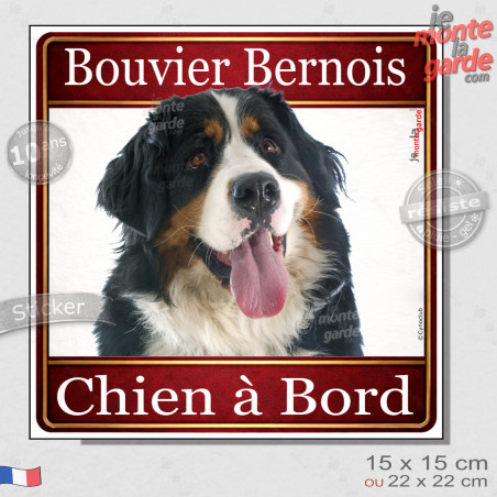 Bouvier Bernois Tête, sticker carré "Chien à Bord" autocollant photo auto, adhésif vitre voiture jaune orange, résiste pluie sol