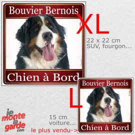 Bouvier Bernois, sticker voiture photo carré "Chien à Bord" résiste pluie soleil gel, idée cadeau, 2 Tailles E