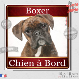 Boxer bringé Tête, sticker carré "Chien à Bord" autocollant photo auto, adhésif vitre voiture jaune orange, résiste pluie soleil