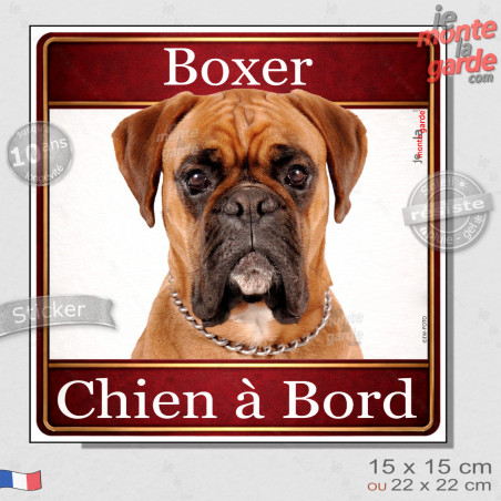 Boxer fauve Tête, sticker carré "Chien à Bord" autocollant photo auto, adhésif vitre voiture jaune orange, résiste pluie soleil 