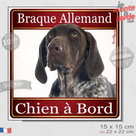 Braque Allemand marron chocolat Tête, sticker carré "Chien à Bord" autocollant photo auto, adhésif vitre voiture jaune orange, r
