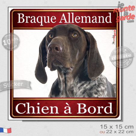 Braque Allemand marron chocolat Tête, sticker carré "Chien à Bord" autocollant photo auto, adhésif vitre voiture jaune orange, r