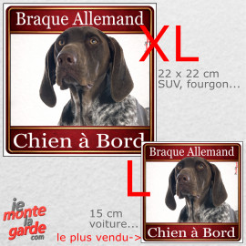 Braque Allemand, sticker voiture photo carré "Chien à Bord" résiste pluie soleil gel, idée cadeau, 2 Tailles D