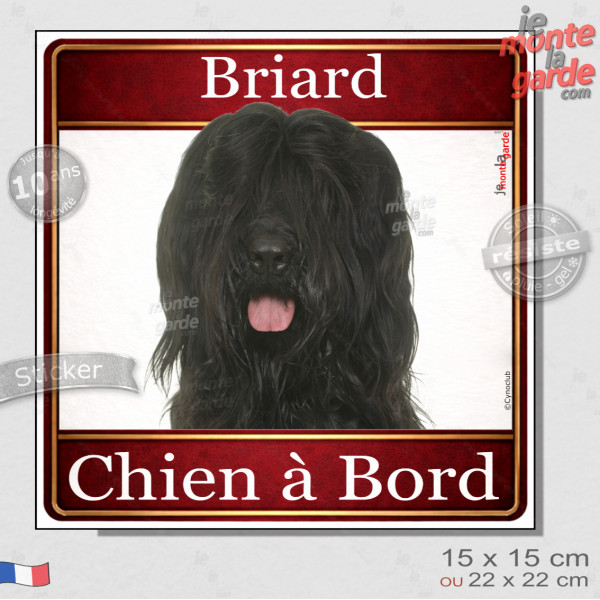 Briard noir Tête, sticker carré "Chien à Bord" autocollant photo auto, adhésif vitre voiture jaune orange, résiste pluie soleil 