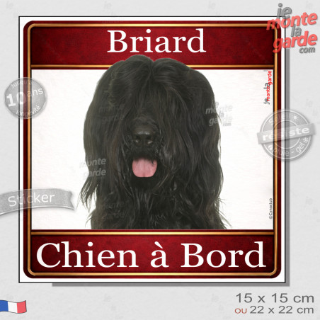 Briard noir Tête, sticker carré "Chien à Bord" autocollant photo auto, adhésif vitre voiture jaune orange, résiste pluie soleil 