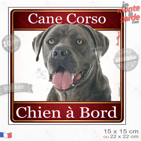 Cane Corso gris Tête, sticker carré "Chien à Bord" autocollant photo auto, adhésif vitre voiture jaune orange, résiste pluie sol