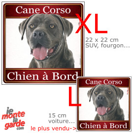 Cane Corso gris, sticker voiture photo carré "Chien à Bord" résiste pluie soleil gel, idée cadeau, 2 Tailles D