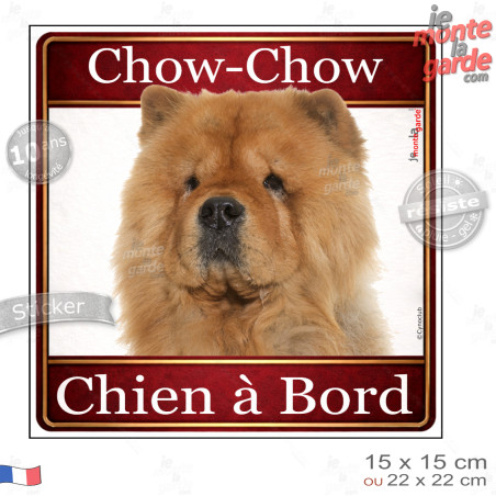 Chow-Chow fauve Tête, sticker carré "Chien à Bord" autocollant photo auto, adhésif vitre voiture jaune orange, résiste pluie sol
