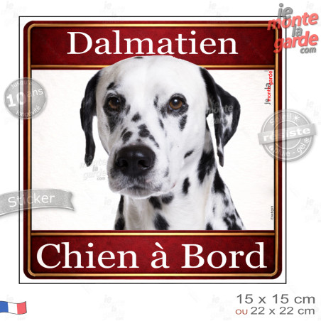 Dalmatien Tête, sticker carré "Chien à Bord" autocollant photo auto, adhésif vitre voiture jaune orange, résiste pluie soleil ge