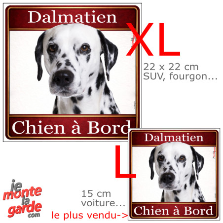 Dalmatien, sticker voiture photo carré "Chien à Bord" résiste pluie soleil gel, idée cadeau, 2 Tailles D