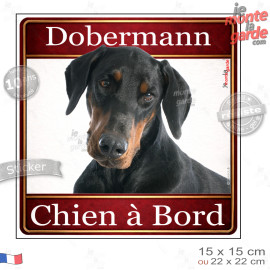 Dobermann noir et feu Tête, sticker carré "Chien à Bord" autocollant photo auto, adhésif vitre voiture jaune orange, résiste plu